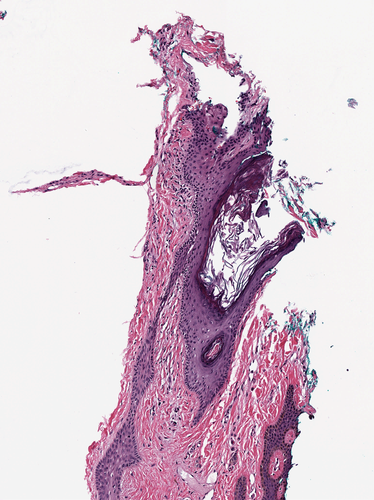 ../_images/ec1aeb9a2ac65aed03e23220cfe3b09c1896511f067feaef2b3ed5c494d4984f.png
